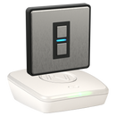 Lighting Starter Kit - Stainless Steel